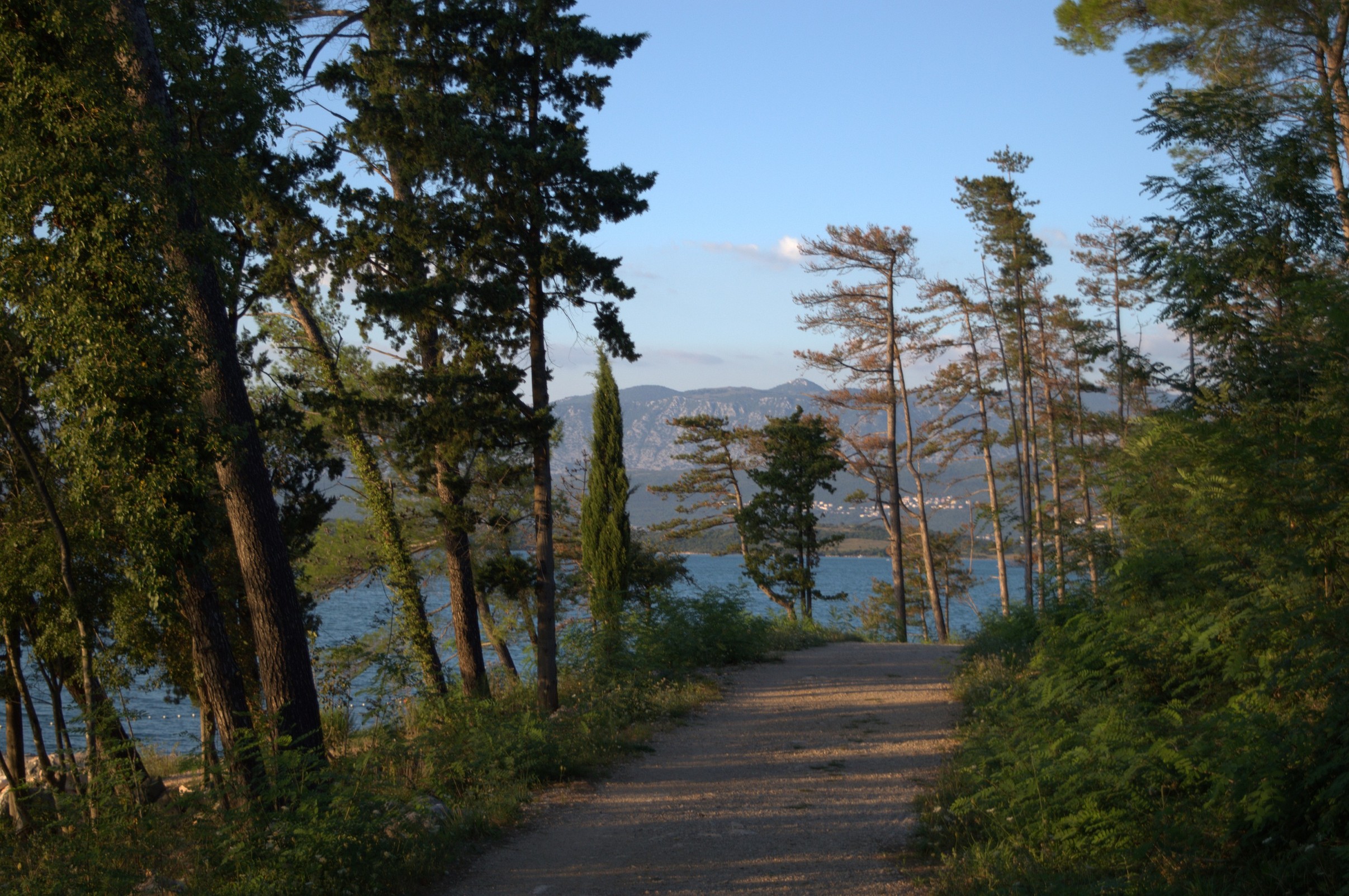 K k 151   dsc 2001   6034 x 4012